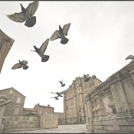 Sea View בית הארחה 3*