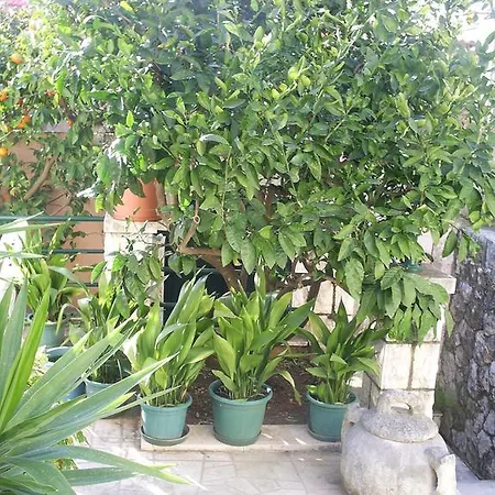 Sea View Gostinjska kuća Dubrovnik